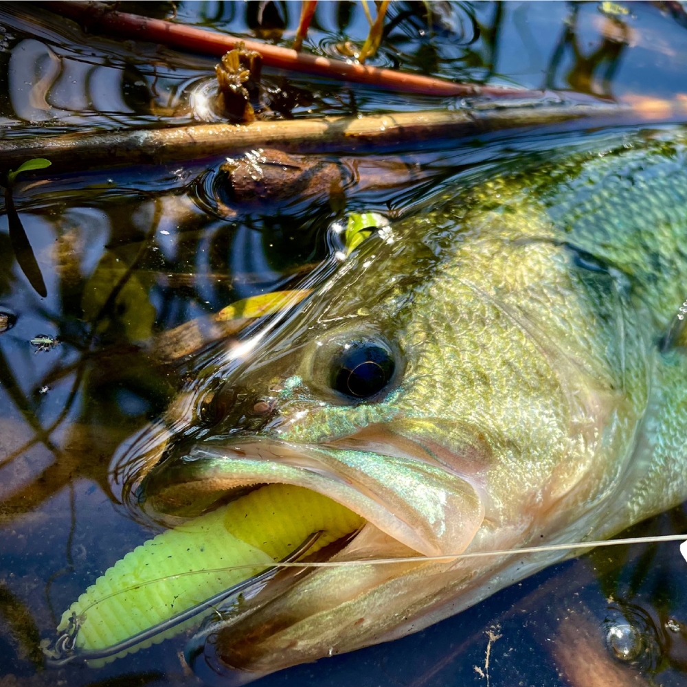 Cast&Catch SCREW-LOCK Weedless - огляд і ціна Fishing Hook Weedless